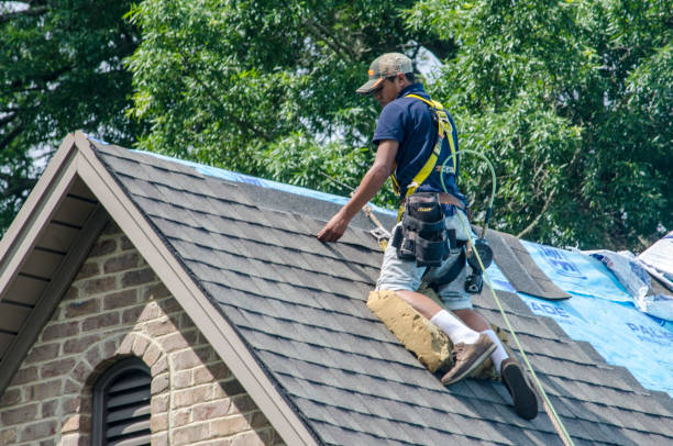 Best Gutter Installation and Roofing  in Bridgeport, CT